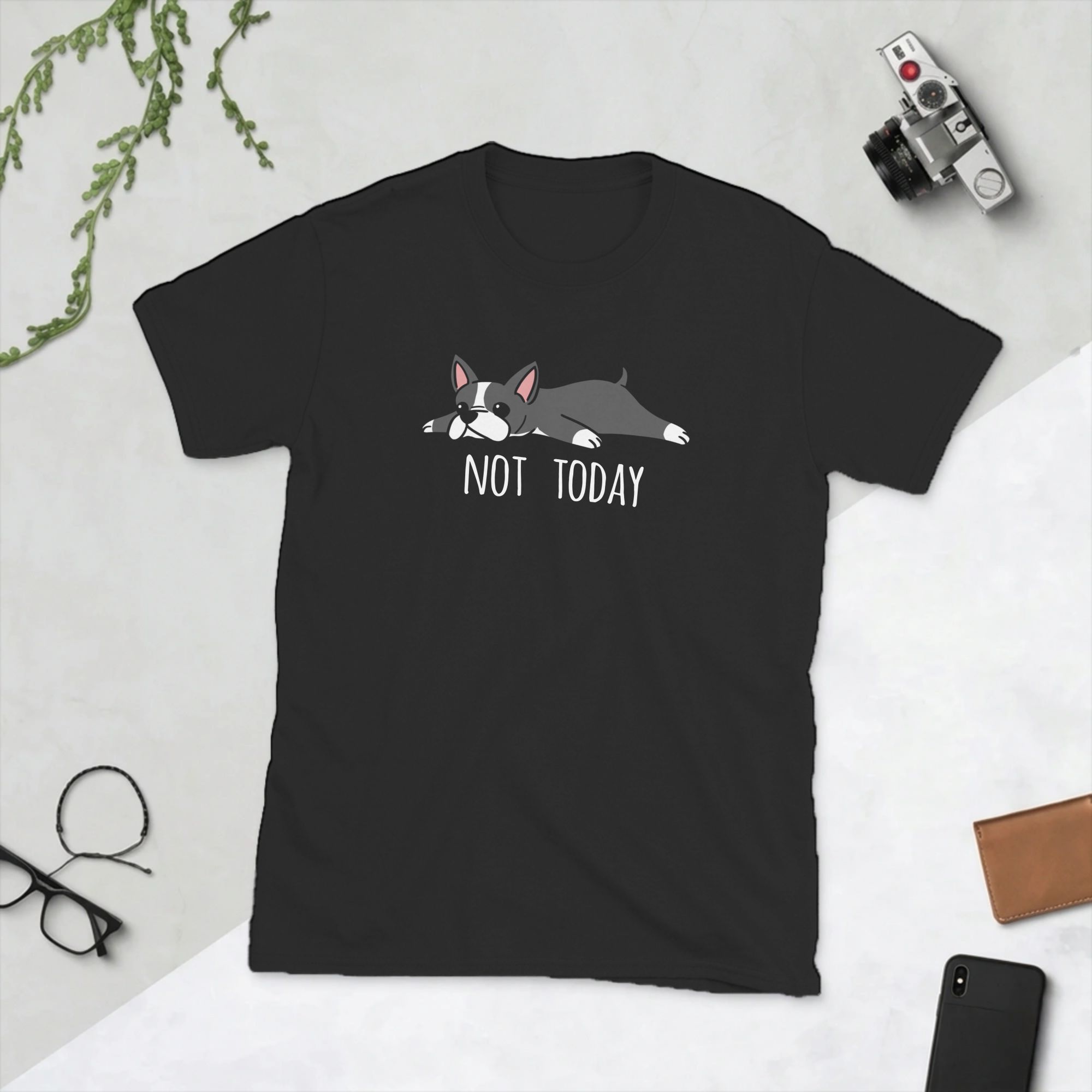 Komik Bugün Değil Boston Terri - Summer Clothing Ideas Men incelemesi ve fiyatı